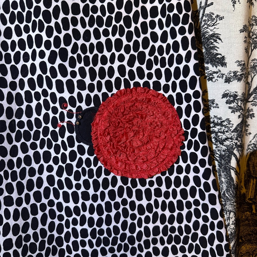 Bailey Boys Reversible Ladybug Dress - Picture 2 of 4